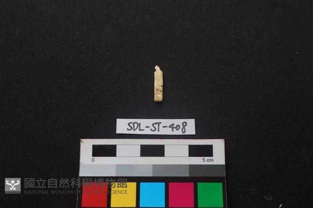 玉飾藏品圖，第2張