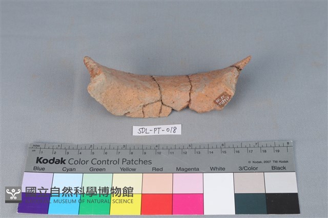 陶罐藏品圖，第2張