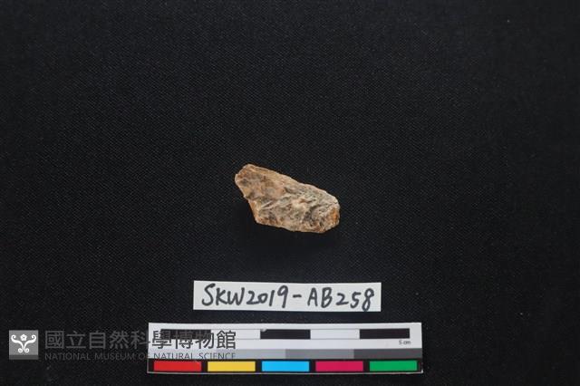 獸骨藏品圖，第2張