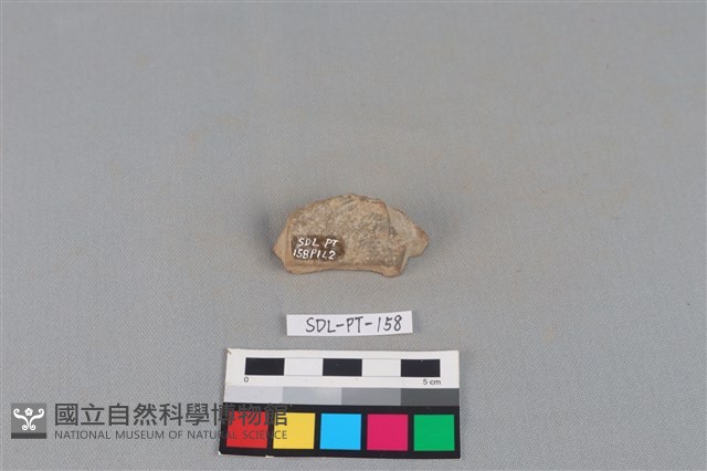 陶罐藏品圖，第2張