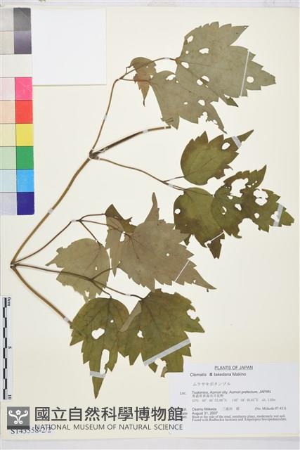 登錄號:S143558藏品圖，第2張