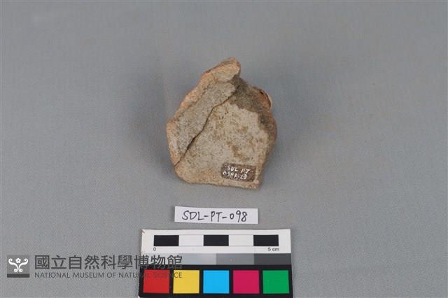 陶蓋藏品圖，第2張