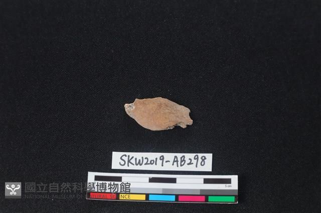 獸骨藏品圖，第2張