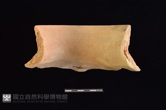 陶罐藏品圖，第2張