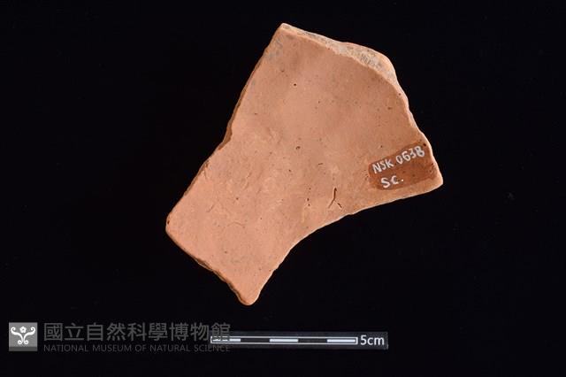 陶片藏品圖，第2張