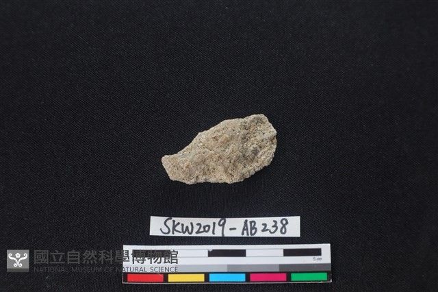 獸骨藏品圖，第2張