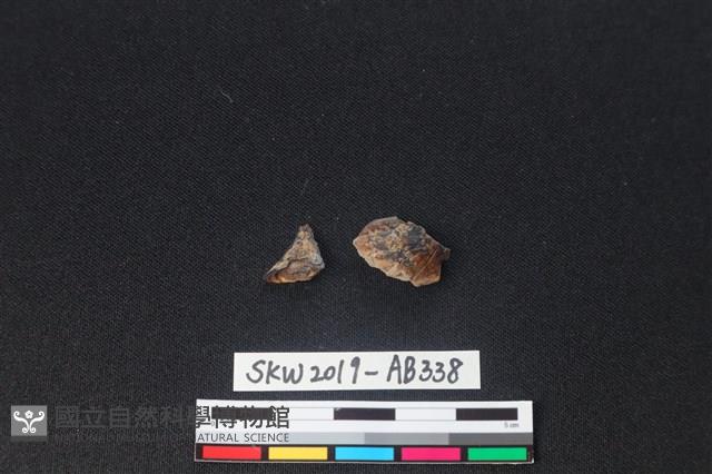 獸骨藏品圖，第2張