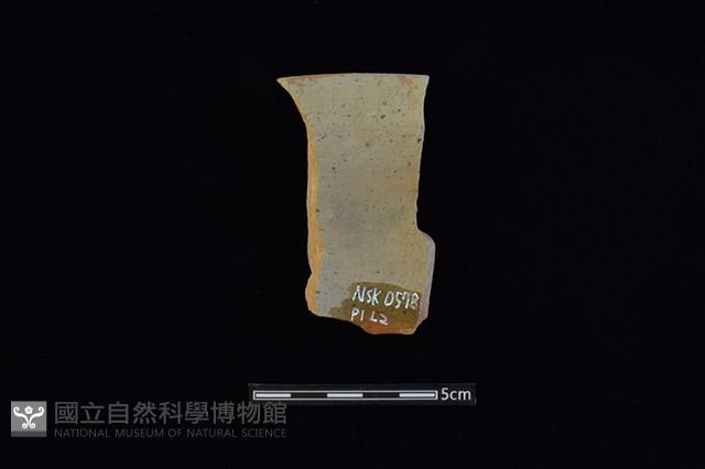 陶片藏品圖，第2張