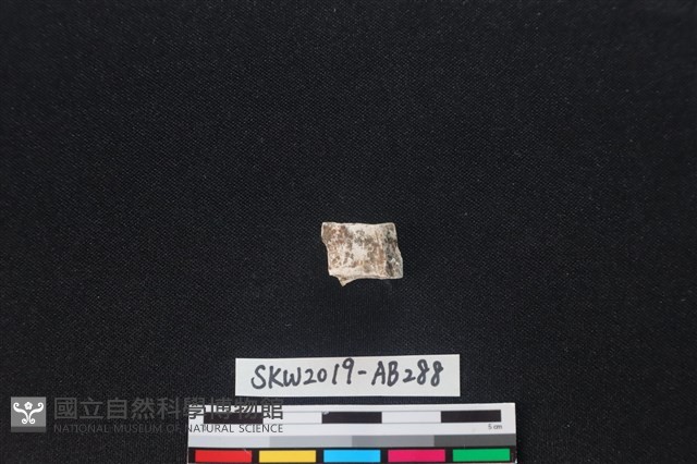 獸骨藏品圖，第2張