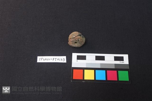 陶紡輪藏品圖，第2張