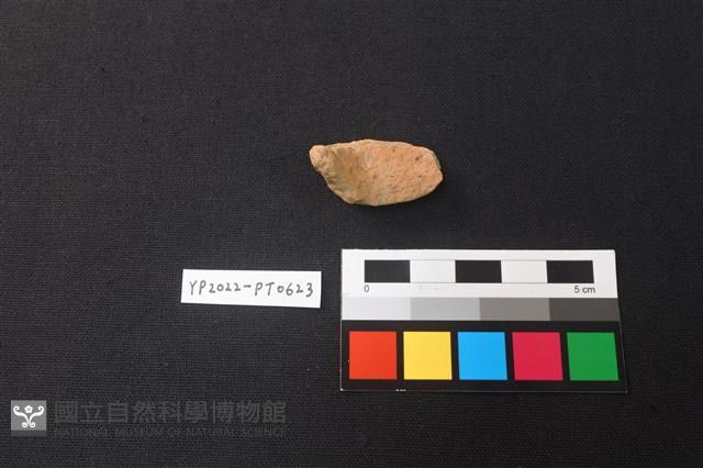 陶片藏品圖，第2張