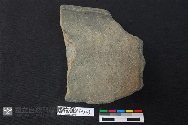 陶片藏品圖，第2張