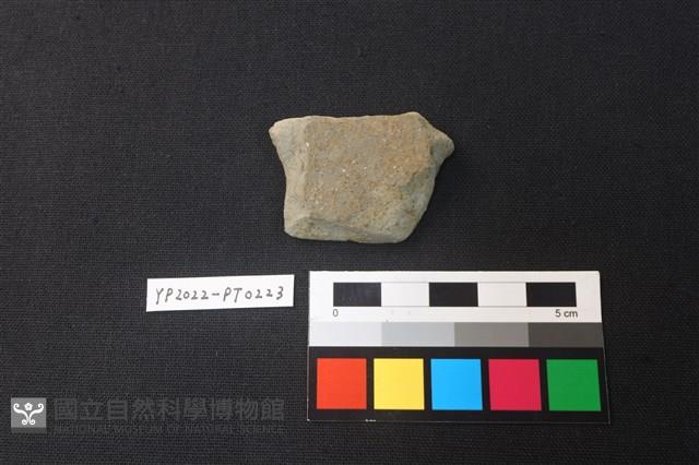 陶片藏品圖，第2張