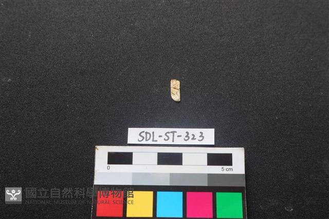 玉飾藏品圖，第2張