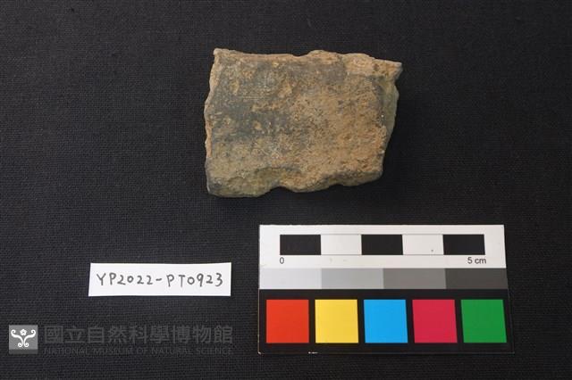 陶片藏品圖，第2張