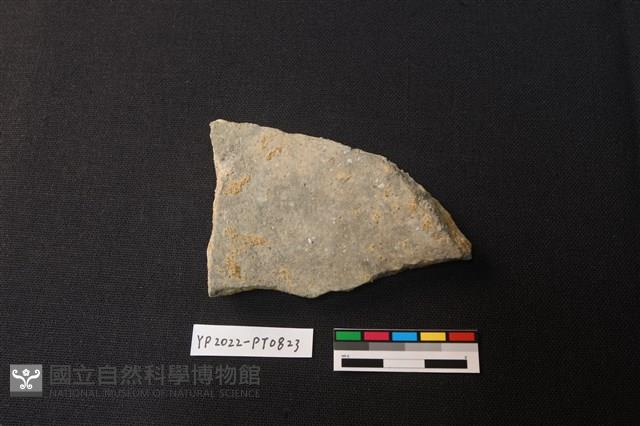 陶片藏品圖，第2張