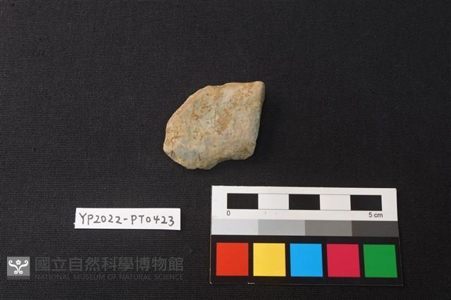 陶片藏品圖，第2張