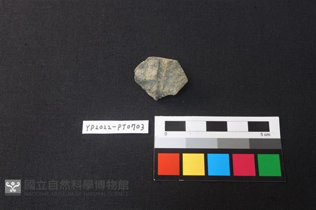 陶紡輪藏品圖，第2張