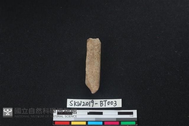 骨鑿藏品圖，第2張