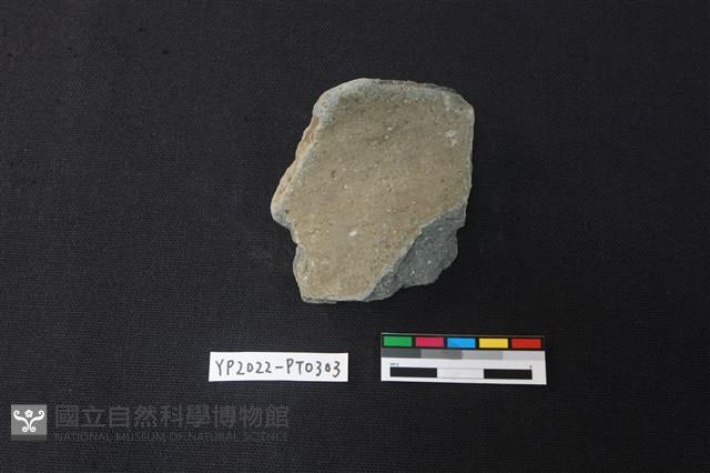 陶片藏品圖，第2張