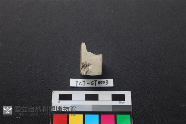 錛鑿形器藏品圖，第2張