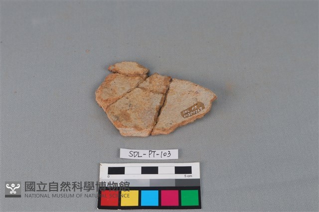 陶片藏品圖，第2張