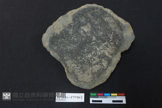 陶片藏品圖，第2張