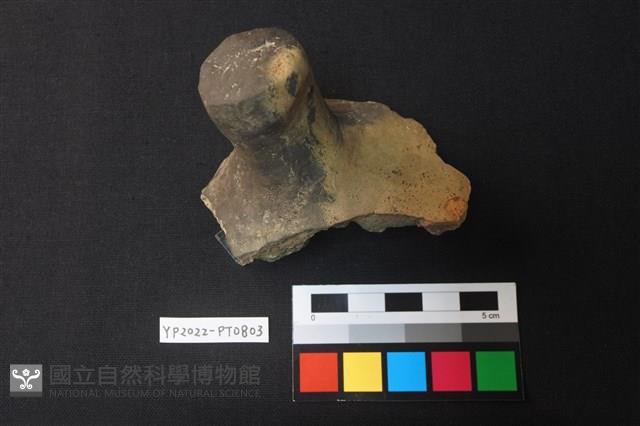 蓋鈕藏品圖，第2張