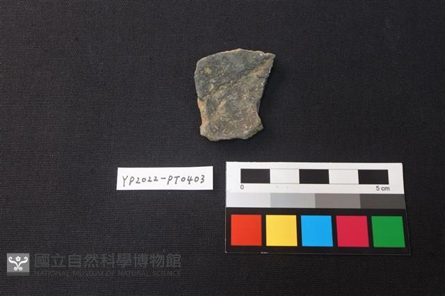 陶片藏品圖，第2張