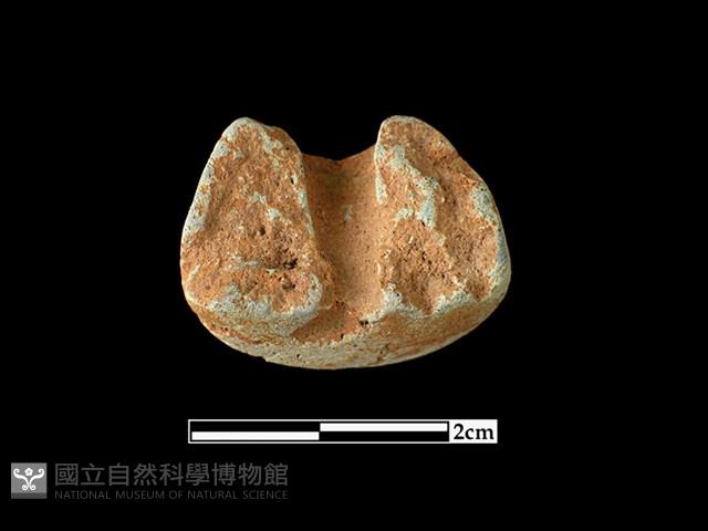 陶紡輪藏品圖，第2張