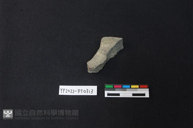 陶片藏品圖，第2張