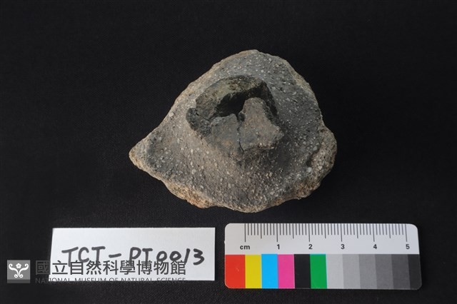 陶蓋鈕藏品圖，第2張