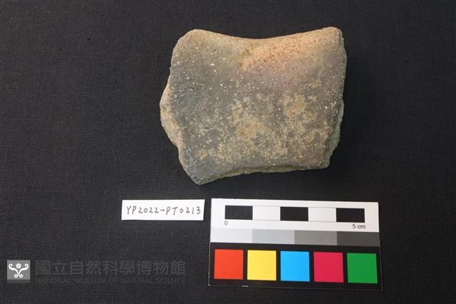 陶片藏品圖，第2張