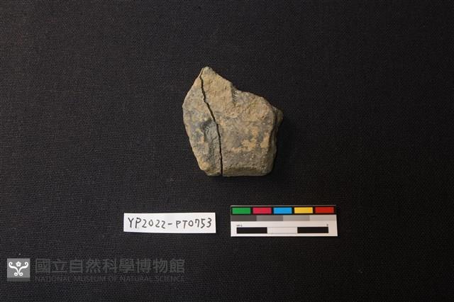 陶片藏品圖，第2張