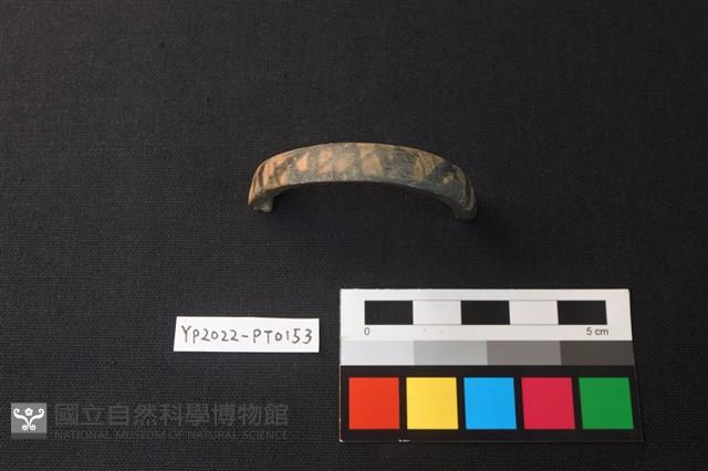 陶環藏品圖，第2張