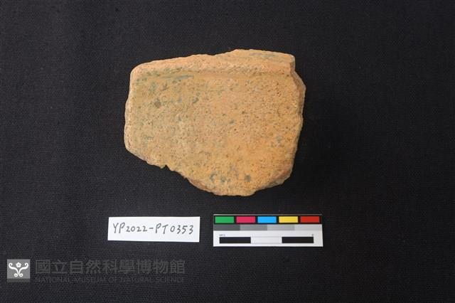 陶片藏品圖，第2張