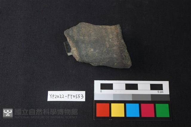 陶片藏品圖，第2張