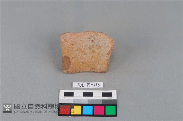 陶罐藏品圖，第2張