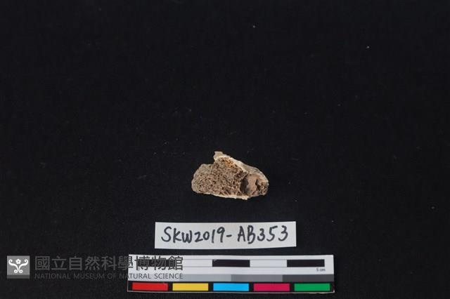 獸骨藏品圖，第2張