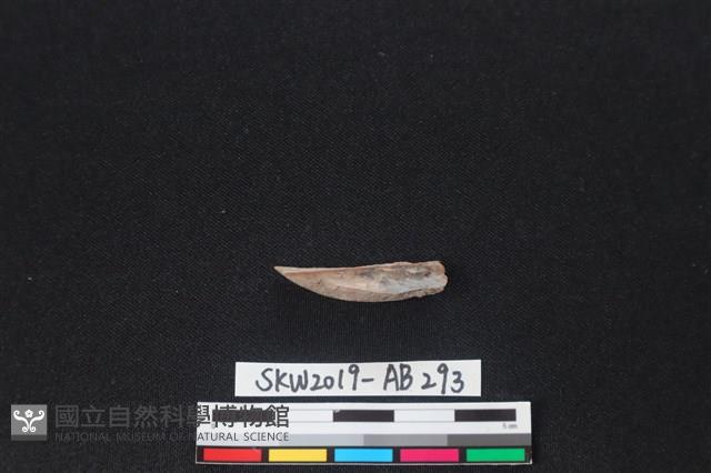 獸骨藏品圖，第2張