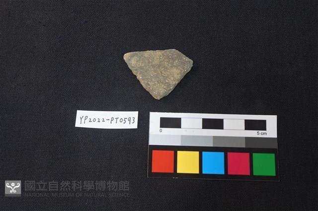 陶片藏品圖，第2張