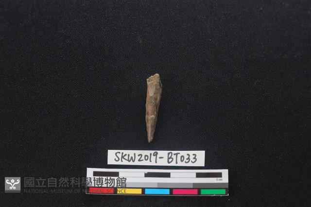 骨尖器藏品圖，第2張