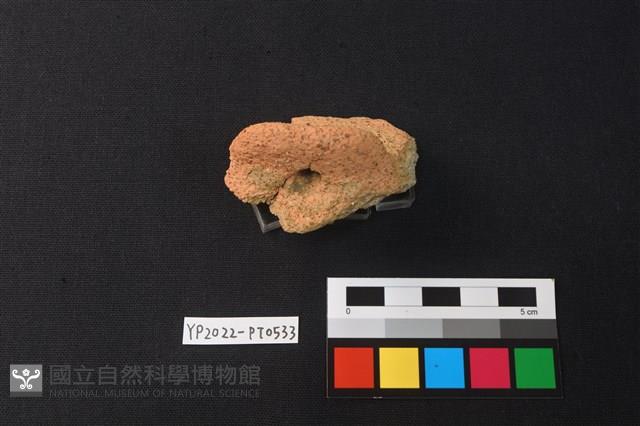 陶片藏品圖，第2張