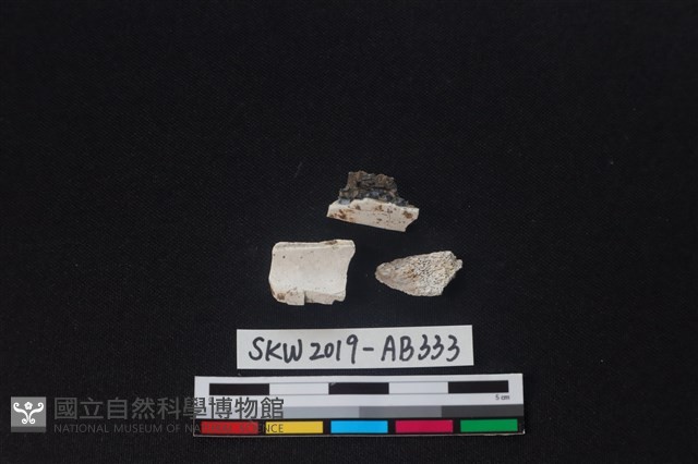 獸骨藏品圖，第2張