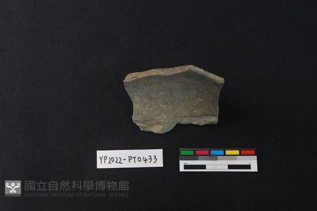陶片藏品圖，第2張