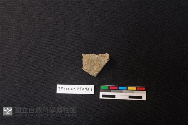 陶片藏品圖，第2張