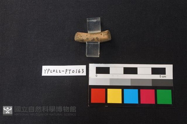 陶環藏品圖，第2張