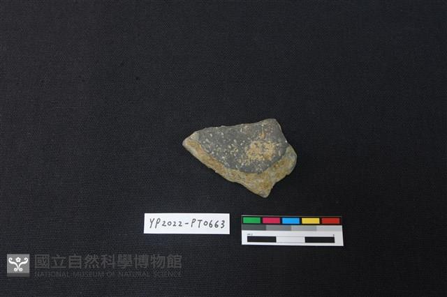 陶片藏品圖，第2張