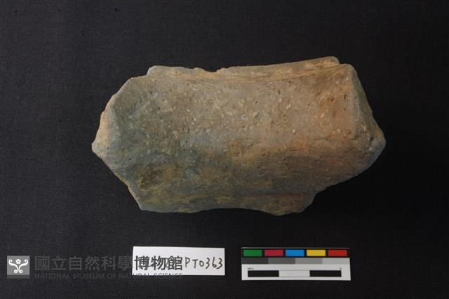 陶片藏品圖，第2張