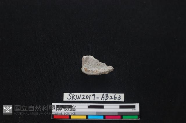 獸骨藏品圖，第2張